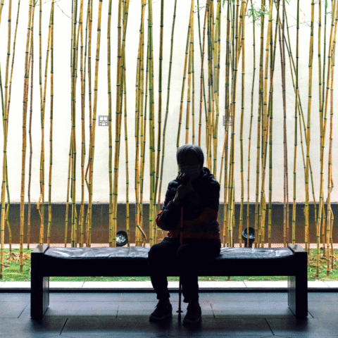 A woman sitting on a bench looking at an art installation of bamboo.