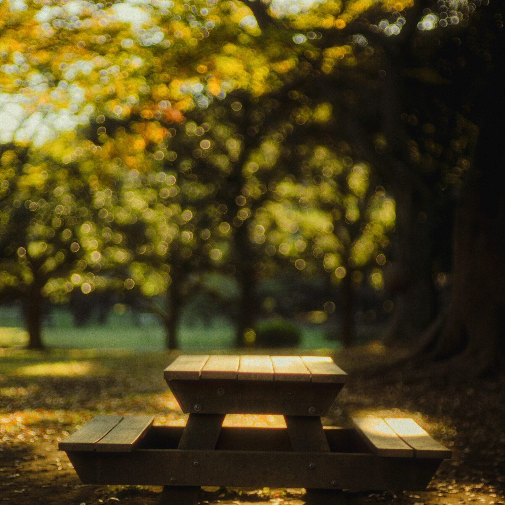 A picnic table under green trees in a park.