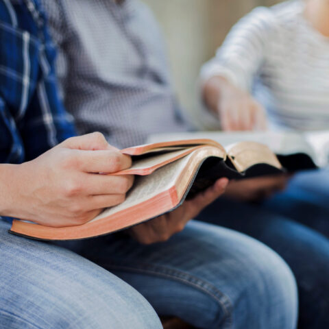 A small group of people in a bright room reading the Bible.