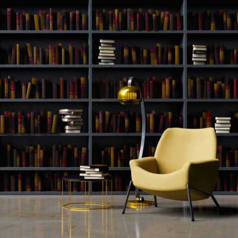 A library with a chair welcoming others to come, sit, and read.