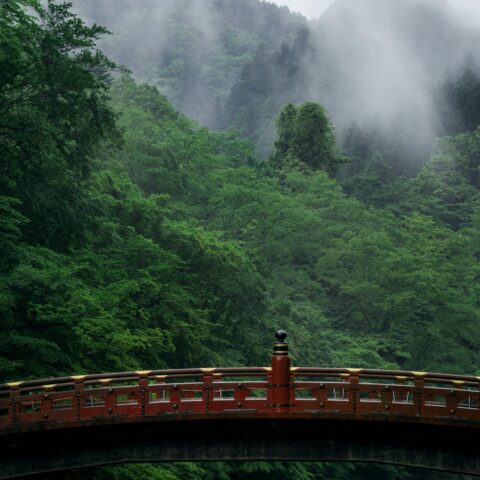 A red bridge in China spanning a river in a lush green forest area.