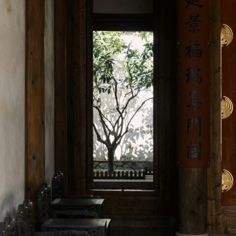 A room with benched and a tree outside of the window.