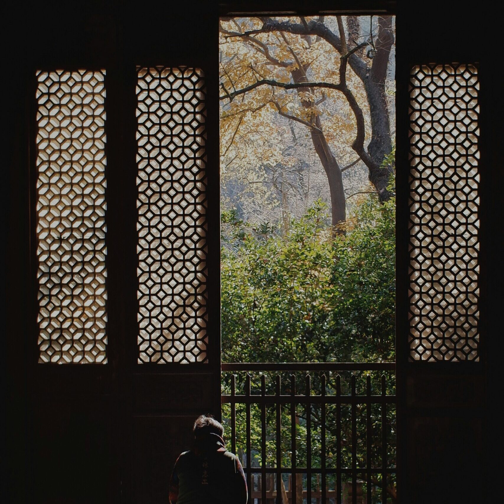 A person standing inside looking to the bright garden outside the gate.
